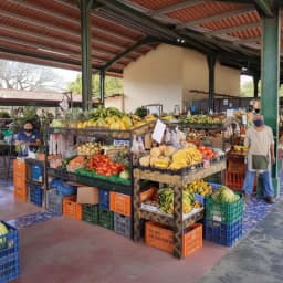 Everyday market life in Panama