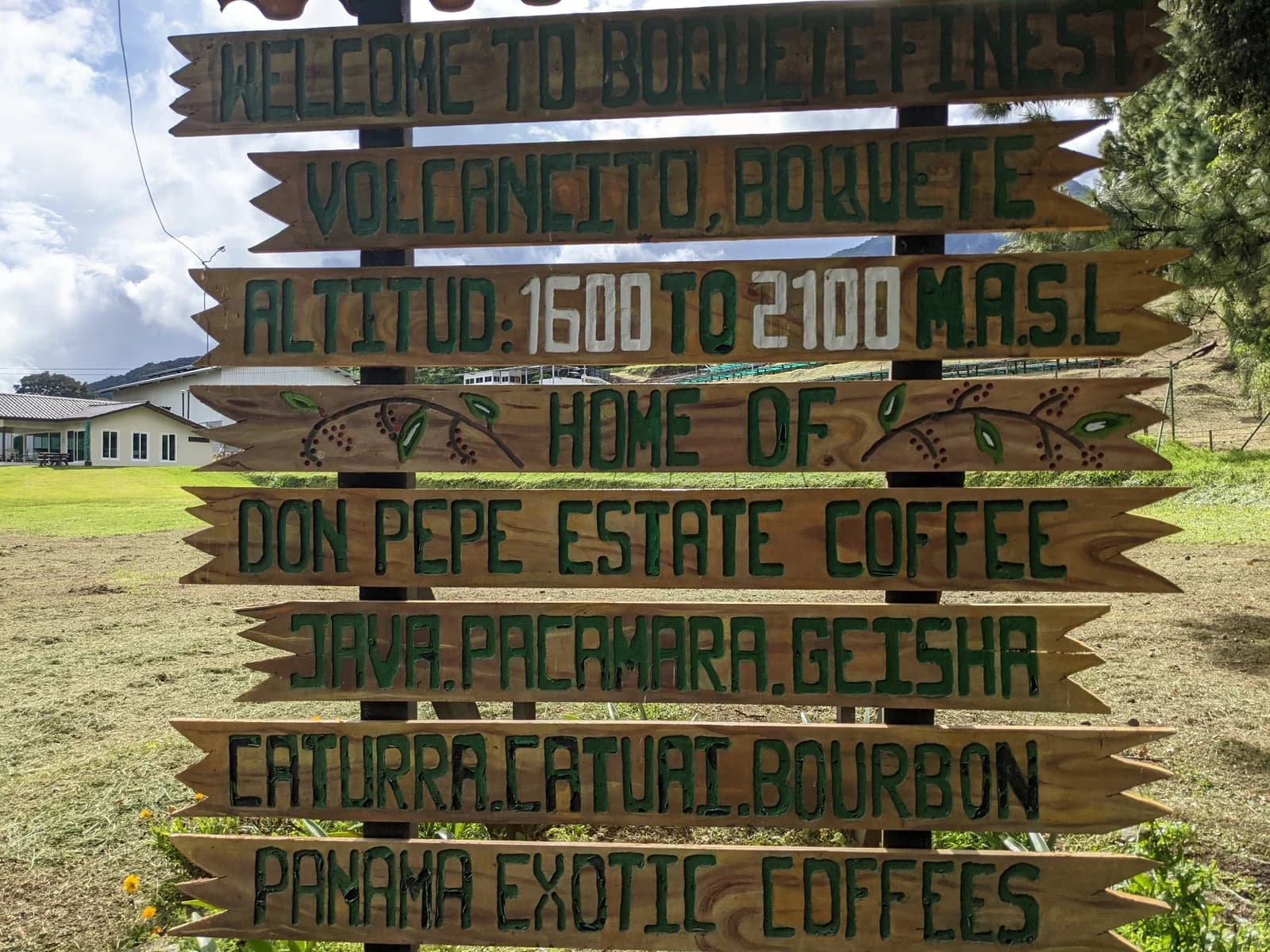 Coffee country