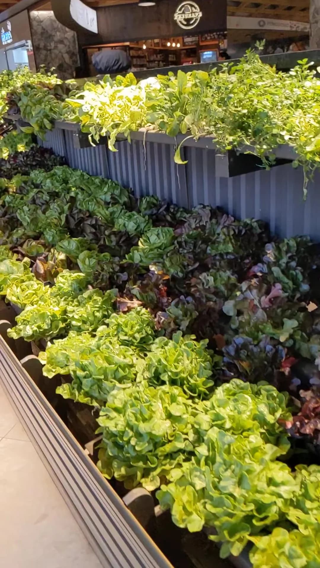 Fresh produce in the Villa Morra and Mariscal area of Asuncion