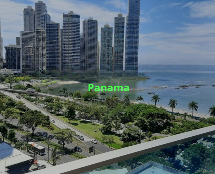 Panama City skyline with palm trees